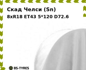 Колесный диск Скад Челси (Sn) 8.0xR18 ET45 5*114.3 D67.1